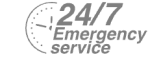 24/7 Emergency Service Pest Control in Tulse Hill, West Norwood, SE27. Call Now! 020 8166 9746